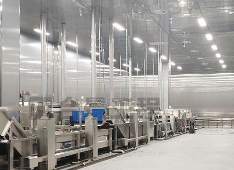 成都和諧天興食品廠凈化工程